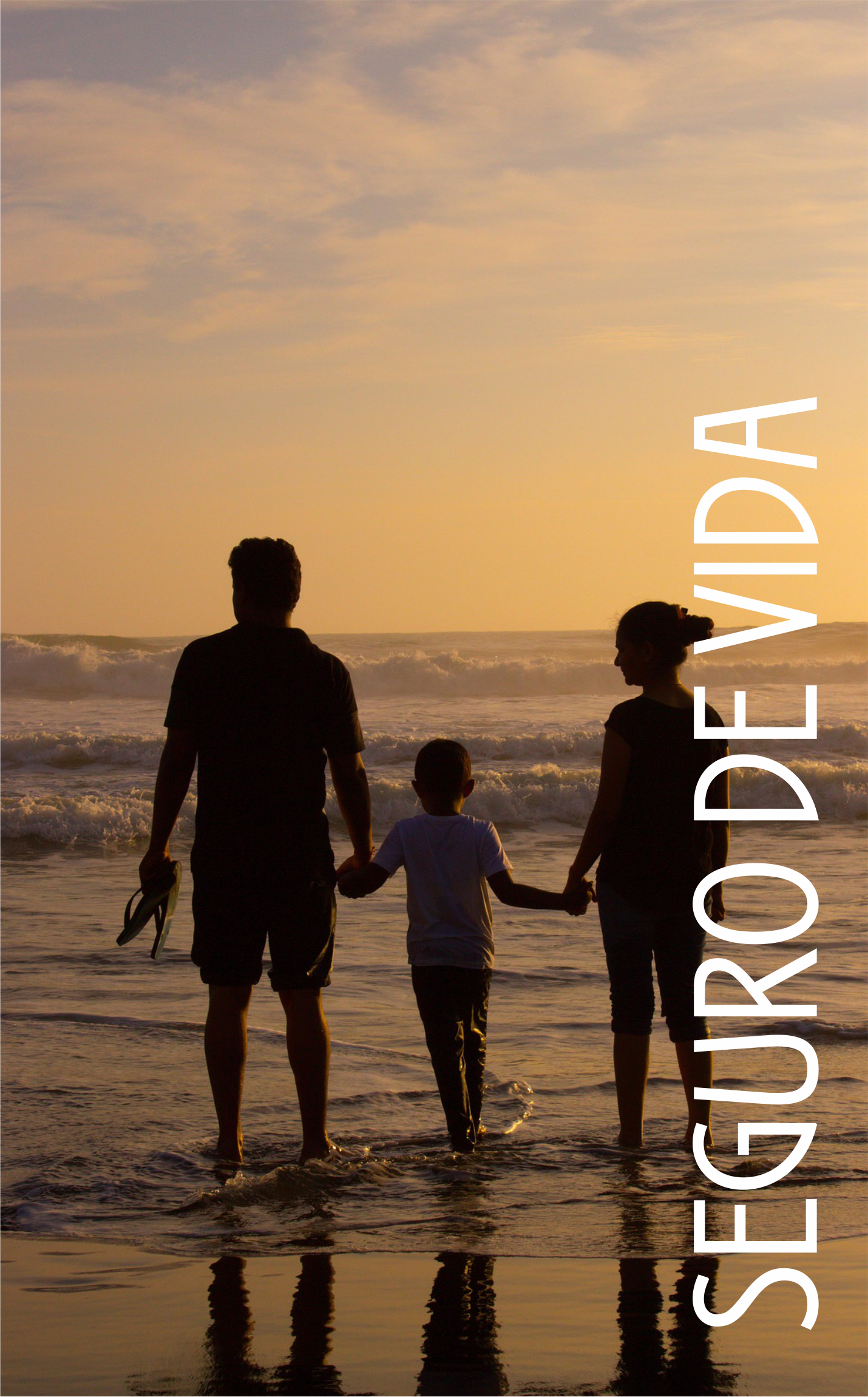 vida