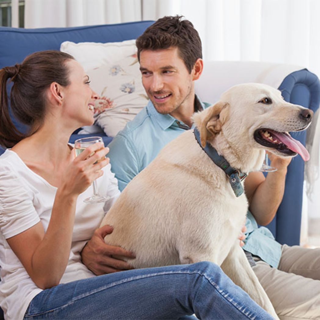 Petlove Saúde (Seguro para Pet)  